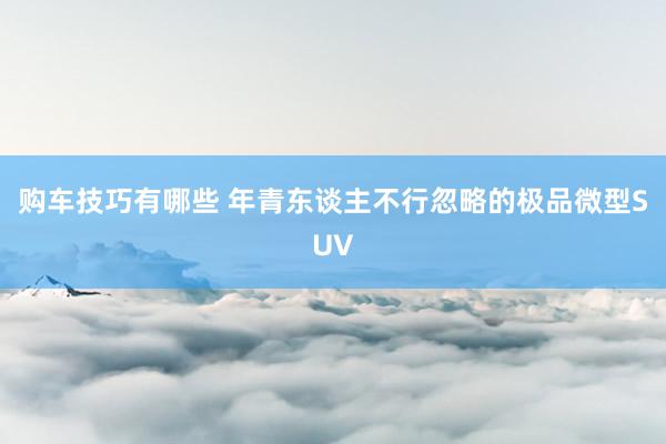 购车技巧有哪些 年青东谈主不行忽略的极品微型SUV