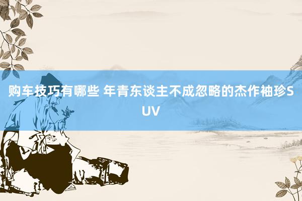 购车技巧有哪些 年青东谈主不成忽略的杰作袖珍SUV