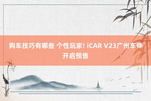 购车技巧有哪些 个性玩家! iCAR V23广州车伸开启预售