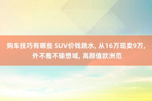 购车技巧有哪些 SUV价钱跳水, 从16万现卖9万, 外不雅不输想域, 高颜值欧洲范