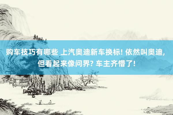 购车技巧有哪些 上汽奥迪新车换标! 依然叫奥迪, 但看起来像问界? 车主齐懵了!