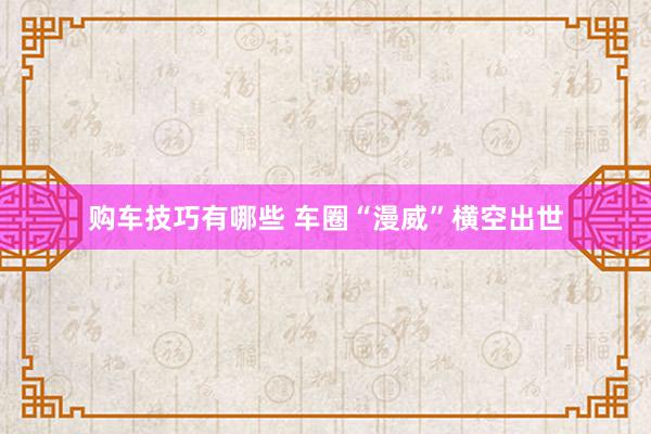 购车技巧有哪些 车圈“漫威”横空出世