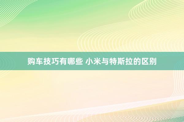 购车技巧有哪些 小米与特斯拉的区别