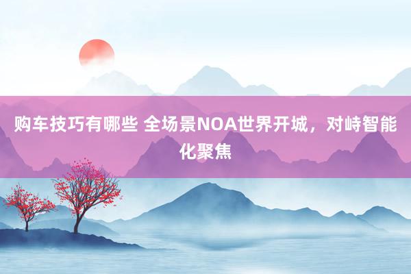 购车技巧有哪些 全场景NOA世界开城，对峙智能化聚焦