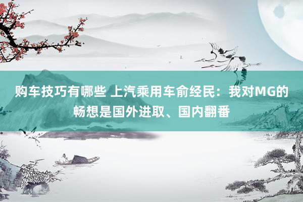 购车技巧有哪些 上汽乘用车俞经民：我对MG的畅想是国外进取、国内翻番