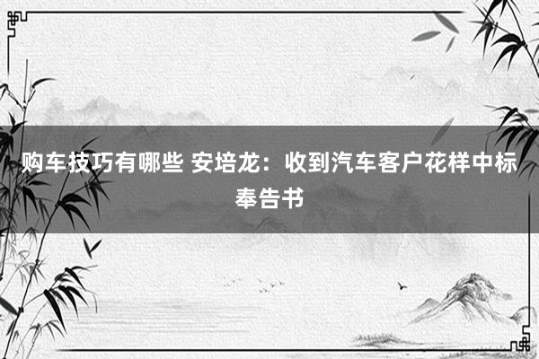   购车技巧有哪些 安培龙：收到汽车客户花样中标奉告书