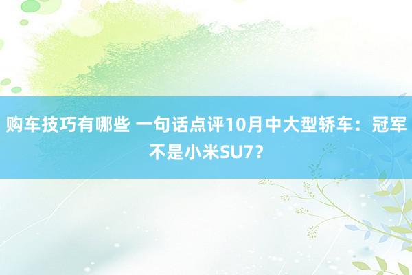 购车技巧有哪些 一句话点评10月中大型轿车：冠军不是小米SU