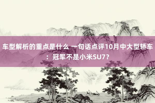 车型解析的重点是什么 一句话点评10月中大型轿车：冠军不是小