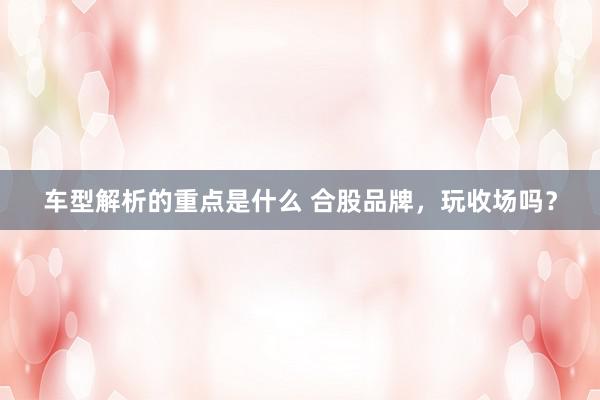 车型解析的重点是什么 合股品牌，玩收场吗？