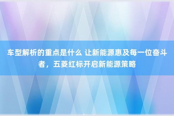   车型解析的重点是什么 让新能源惠及每一位奋斗者，五菱红标开启新能源策略