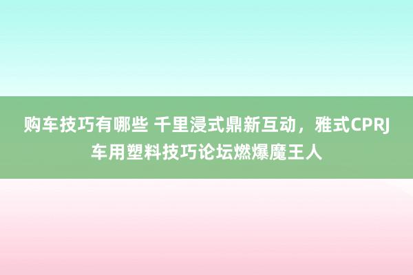 购车技巧有哪些 千里浸式鼎新互动，雅式CPRJ车用塑料技巧论坛燃爆魔王人