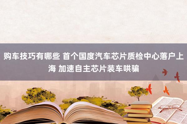 购车技巧有哪些 首个国度汽车芯片质检中心落户上海 加速自主芯片装车哄骗