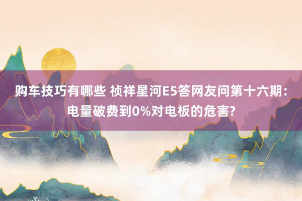 购车技巧有哪些 祯祥星河E5答网友问第十六期：电量破费到0%对电板的危害?