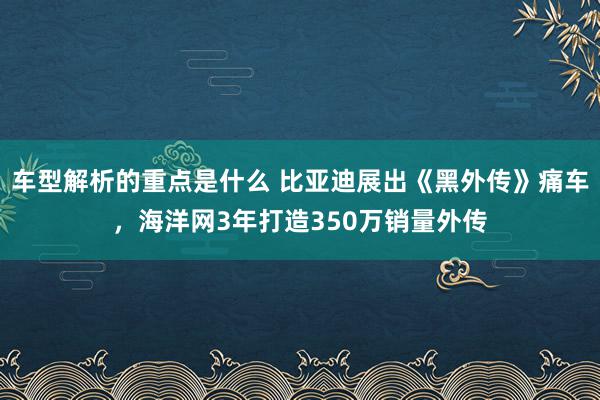 车型解析的重点是什么 比亚迪展出《黑外传》痛车，海洋网3年打