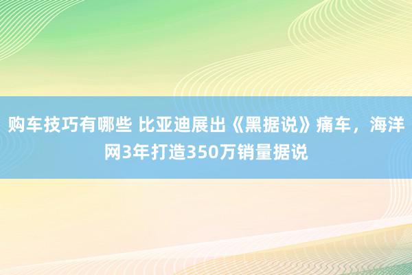 购车技巧有哪些 比亚迪展出《黑据说》痛车，海洋网3年打造350万销量据说