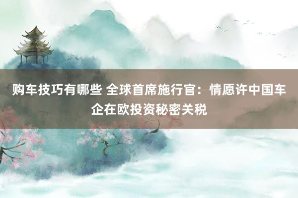 购车技巧有哪些 全球首席施行官：情愿许中国车企在欧投资秘密关