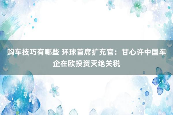   购车技巧有哪些 环球首席扩充官：甘心许中国车企在欧投资灭绝关税