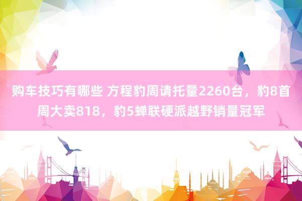 购车技巧有哪些 方程豹周请托量2260台，豹8首周大卖818