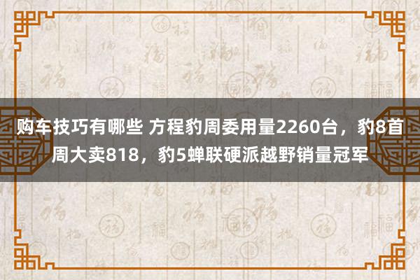 购车技巧有哪些 方程豹周委用量2260台，豹8首周大卖818，豹5蝉联硬派越野销量冠军