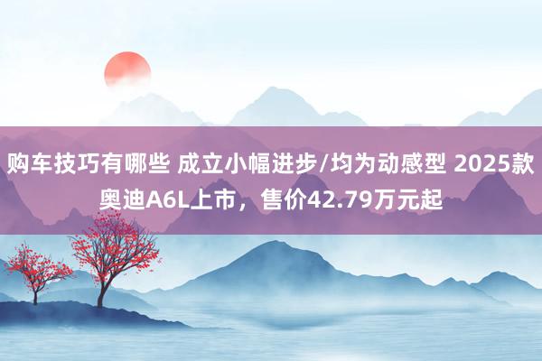   购车技巧有哪些 成立小幅进步/均为动感型 2025款奥迪A6L上市，售价42.79万元起