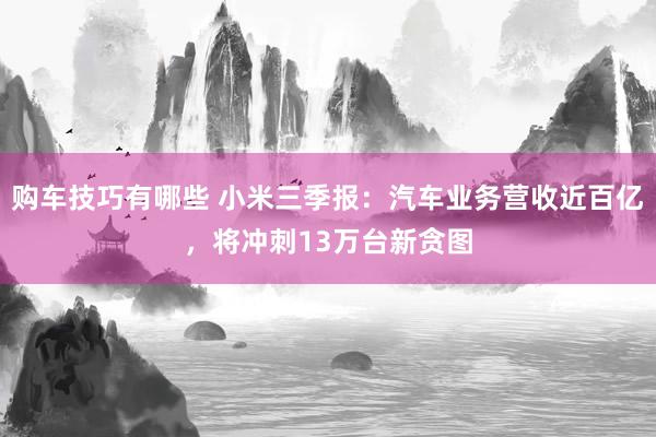 购车技巧有哪些 小米三季报：汽车业务营收近百亿，将冲刺13万台新贪图