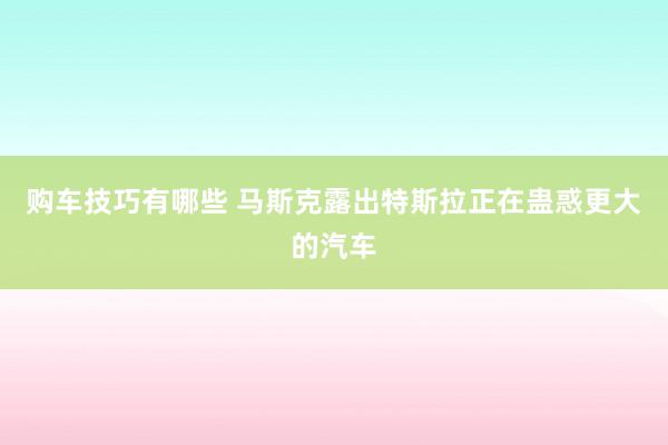 购车技巧有哪些 马斯克露出特斯拉正在蛊惑更大的汽车