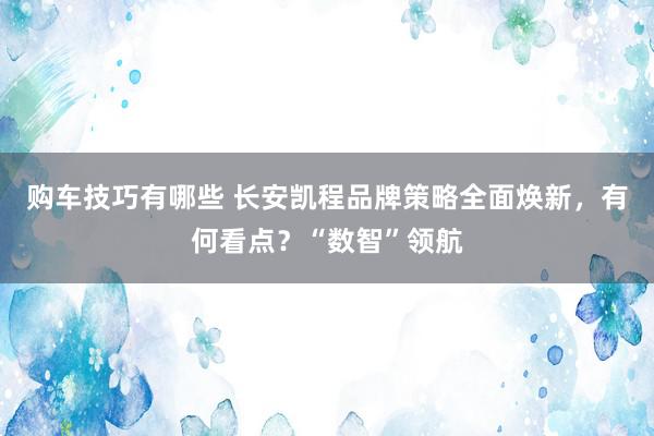 购车技巧有哪些 长安凯程品牌策略全面焕新，有何看点？“数智”领航