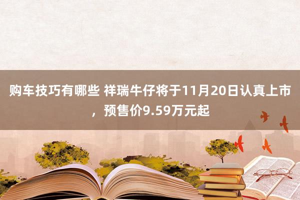 购车技巧有哪些 祥瑞牛仔将于11月20日认真上市，预售价9.59万元起