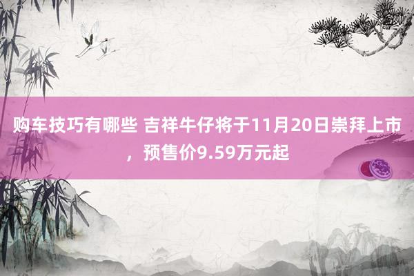 购车技巧有哪些 吉祥牛仔将于11月20日崇拜上市，预售价9.59万元起