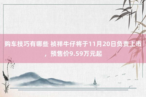   购车技巧有哪些 祯祥牛仔将于11月20日负责上市，预售价9.59万元起