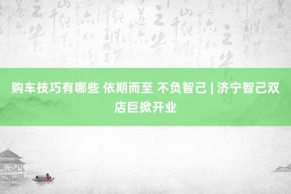   购车技巧有哪些 依期而至 不负智己 | 济宁智己双店巨掀开业