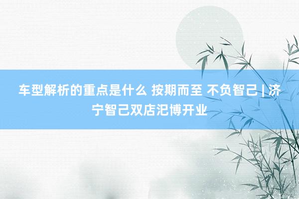   车型解析的重点是什么 按期而至 不负智己 | 济宁智己双店汜博开业